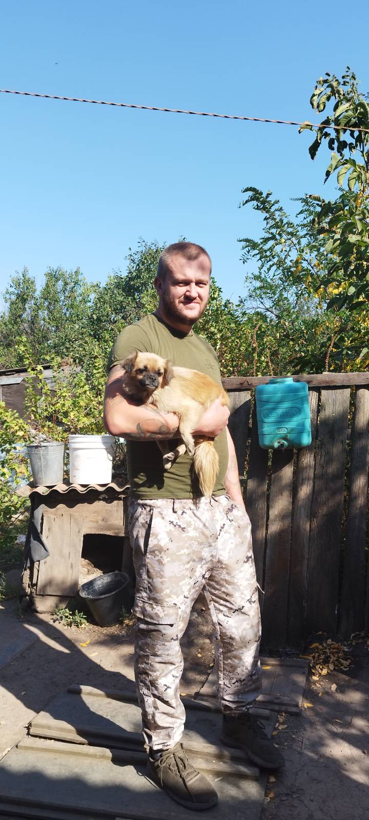 Лошак Дмитро Іванович